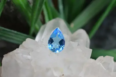 بلوتوپاز سوئیس