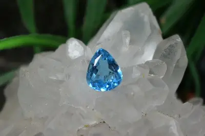 بلوتوپاز سوئیس