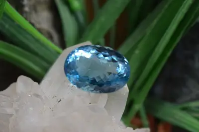 بلوتوپاز سوئیس