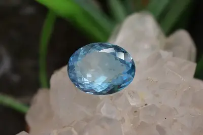 بلوتوپاز سوئیس
