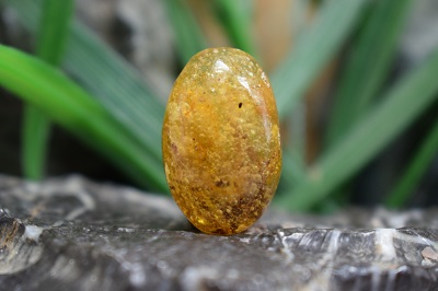 کهربا