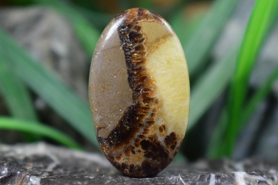 سپتارین گروناتیس