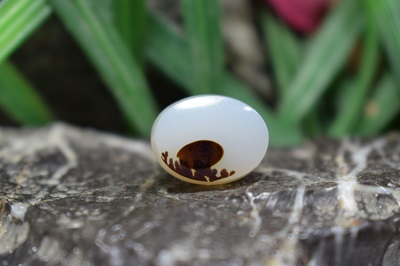 عقیق شجر