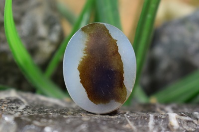 عقیق شجر