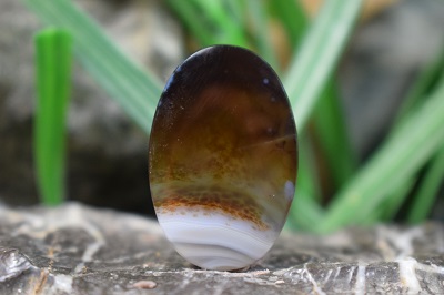 عقیق شجر