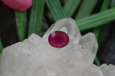 یاقوت سرخ