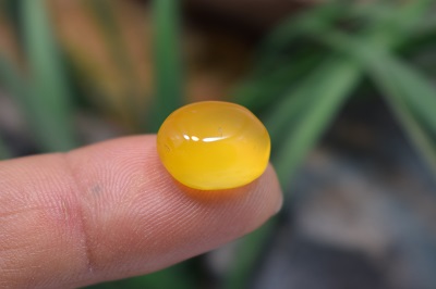 عقیق شرف شمس