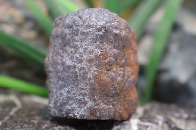راف حدیدسماقی