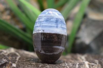 اپال باهاما (اپال آبی)